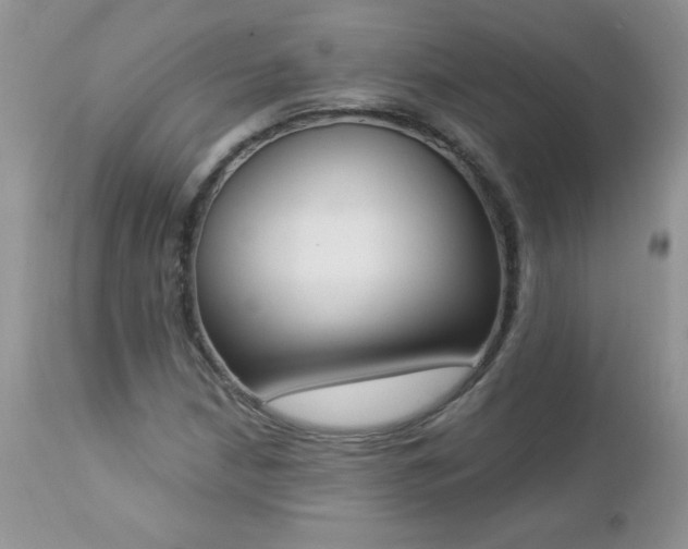 X0000112841210200908211233