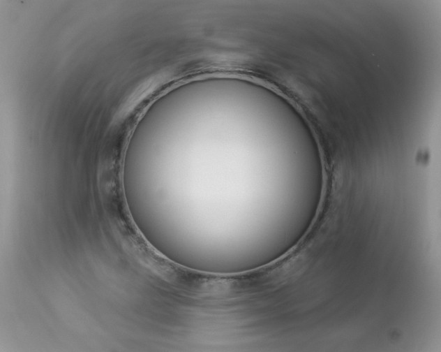 X0000112841211200908211233