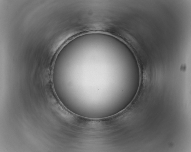 X0000112841212200908211233