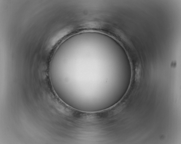 X0000112841213200908211233