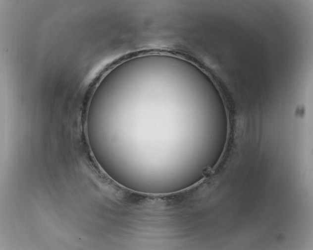 X0000112841214200908211233