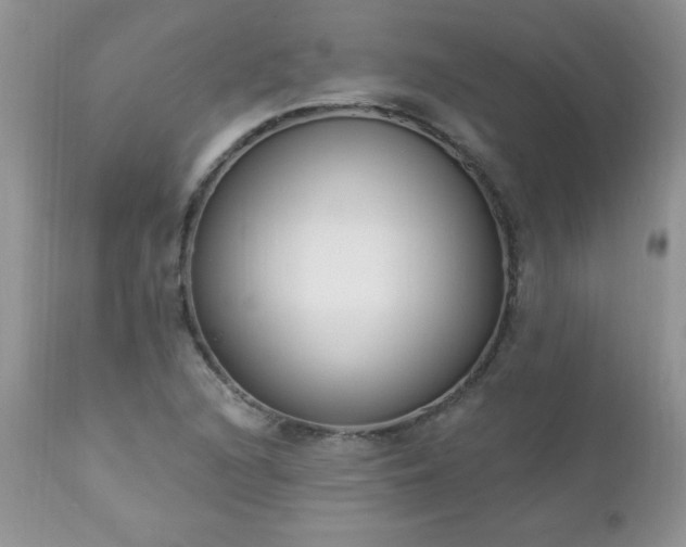 X0000112841216200908211233