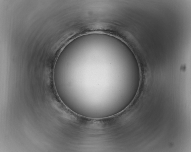 X0000112841217200908211233