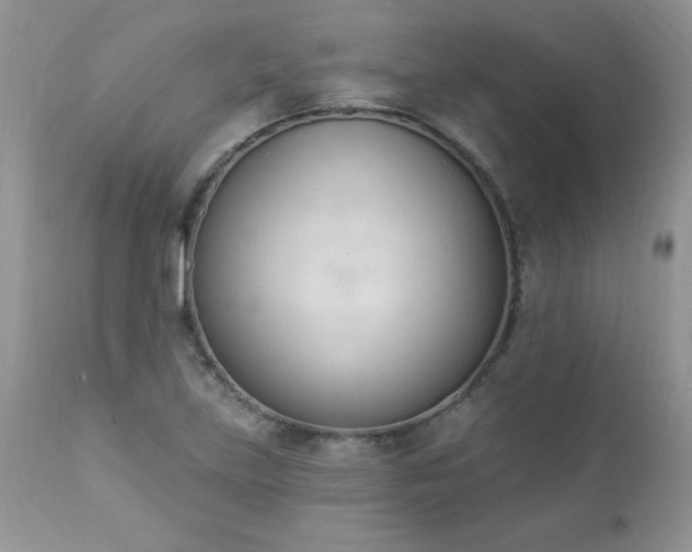 X0000112841219200908211233