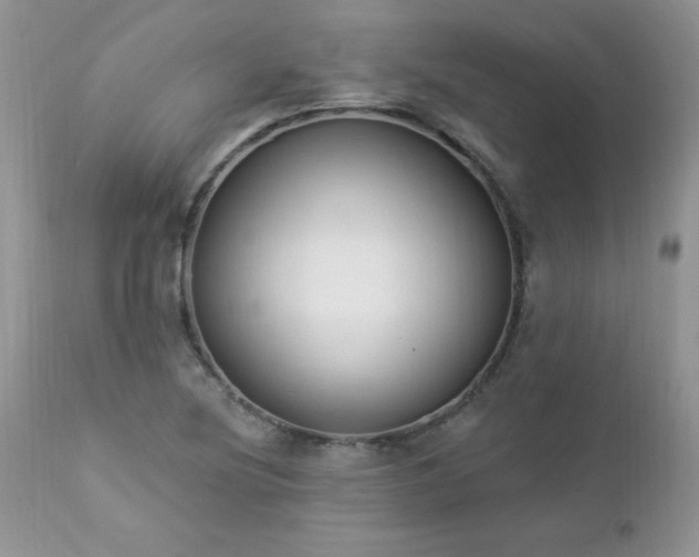 X0000112841220200908211233