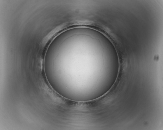 X0000112841221200908211233