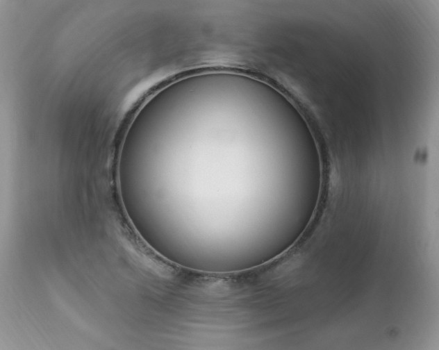 X0000112841222200908211233