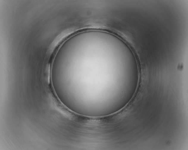 X0000112841223200908211233