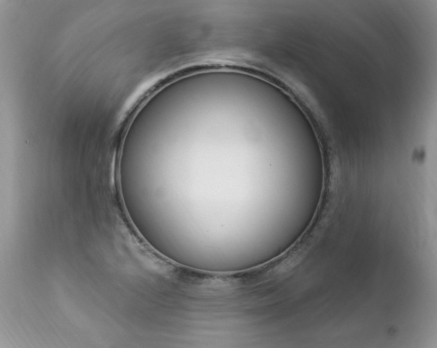 X0000112841224200908211233