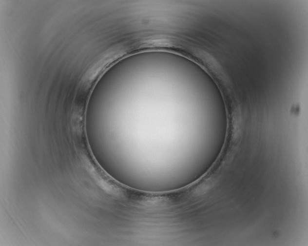 X0000112841225200908211233