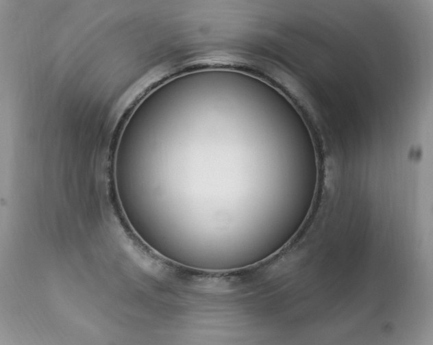 X0000112841229200908211233