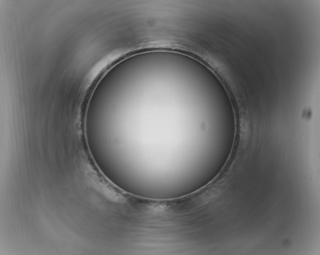 X0000112841230200908211233