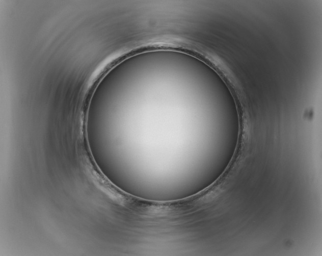 X0000112841232200908211233