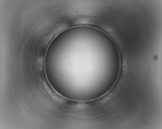 X0000112841233200908211233