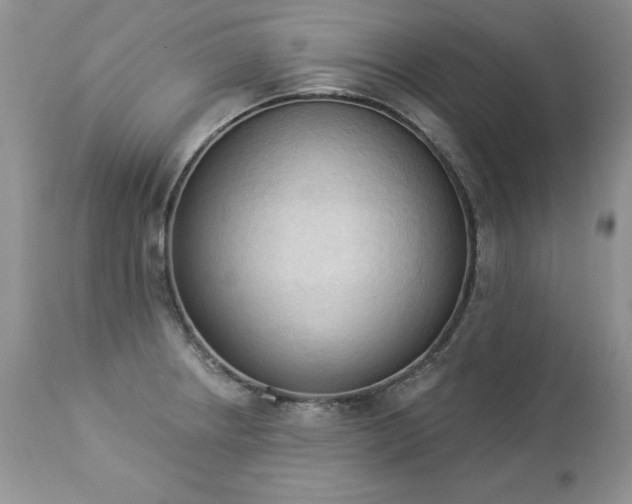 X0000112841234200908211233