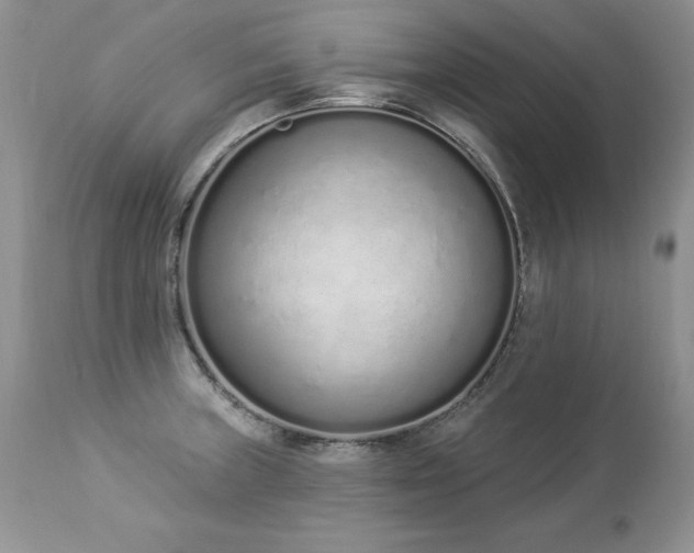 X0000112841235200908211233