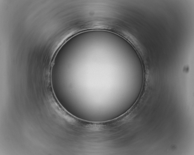 X0000112841236200908211233