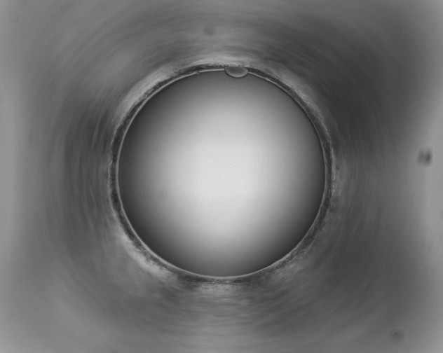 X0000112841237200908211233