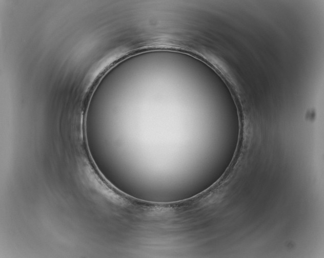 X0000112841238200908211233