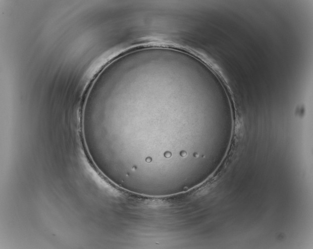 X0000112841239200908211233