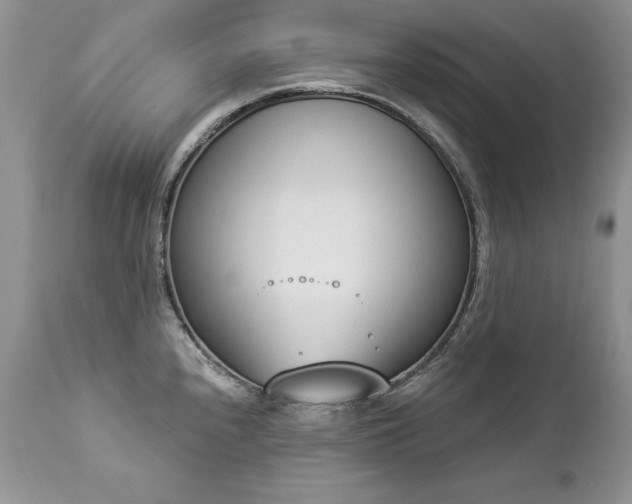 X0000112841240200908211233