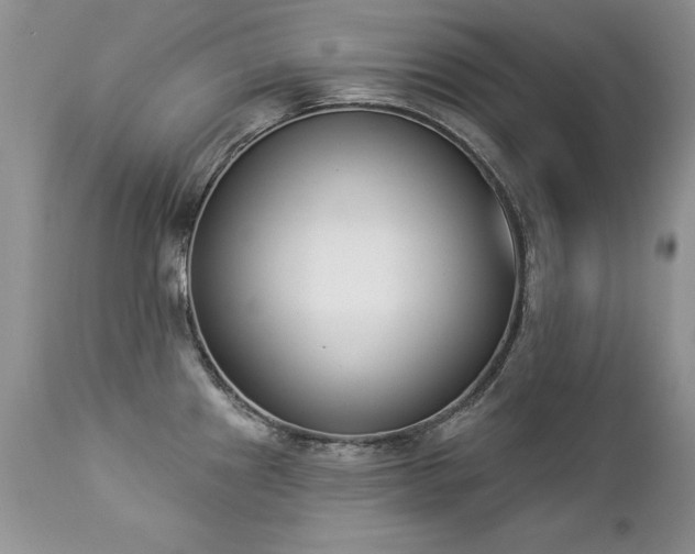 X0000112841241200908211233