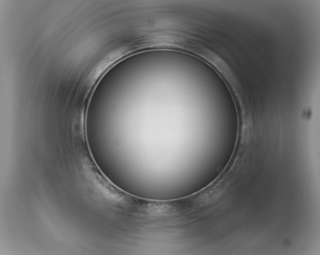 X0000112841242200908211233