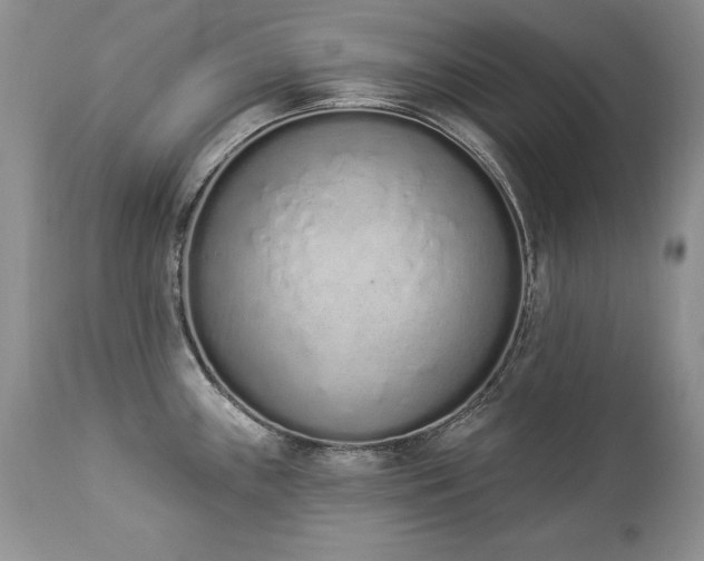 X0000112841243200908211233