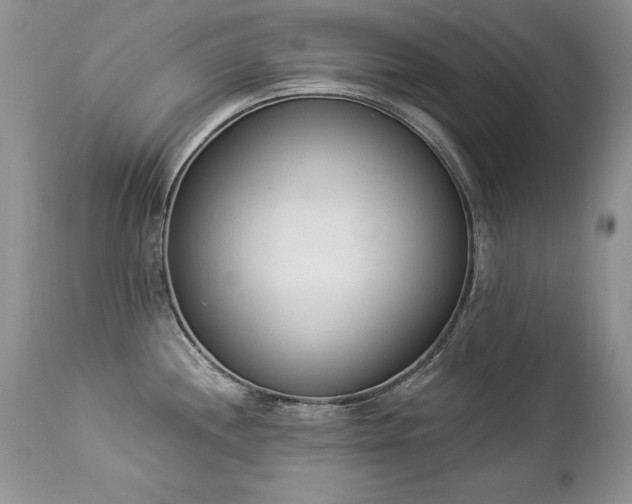 X0000112841244200908211233