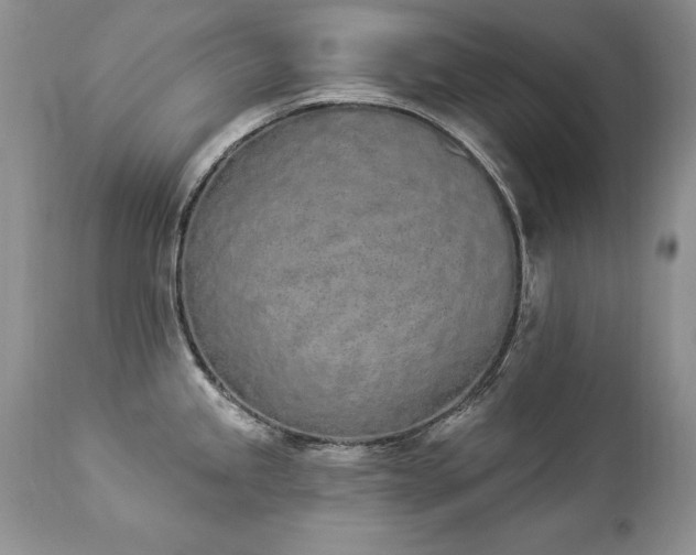 X0000112841245200908211233