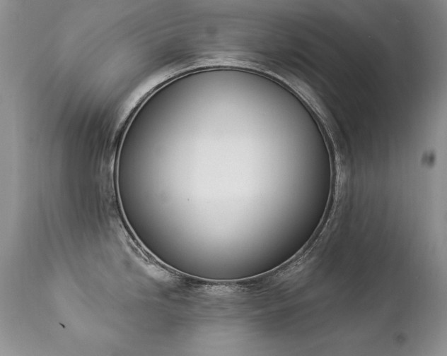 X0000112841246200908211233