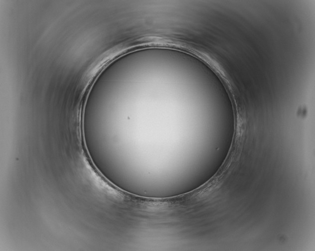 X0000112841247200908211233