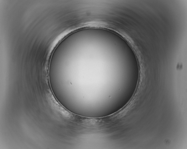 X0000112841248200908211233