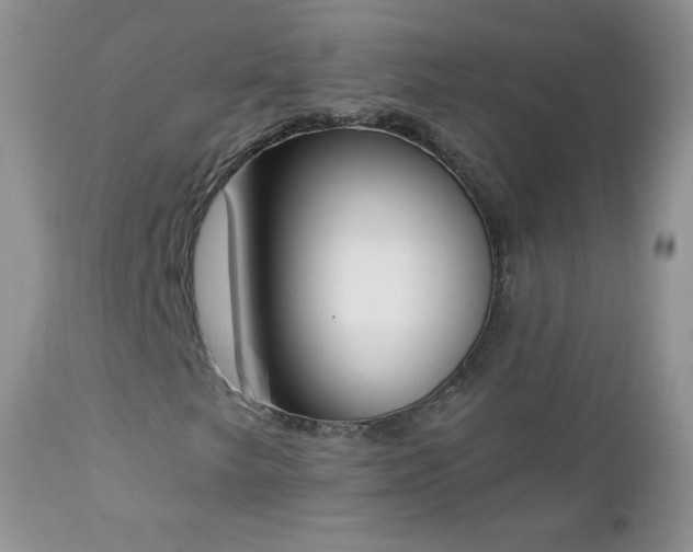 X0000112841249200908211233