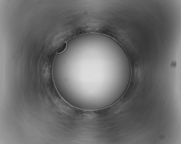 X0000112841250200908211233