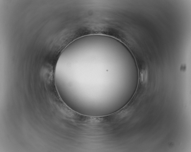 X0000112841251200908211233