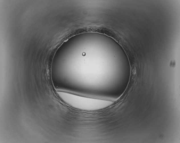 X0000112841252200908211233