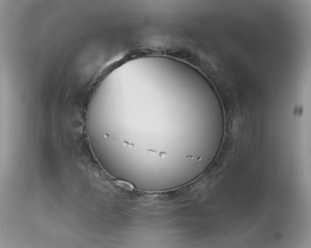 X0000112841253200908211233