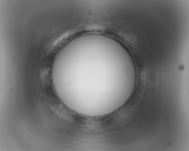 X0000112841254200908211233