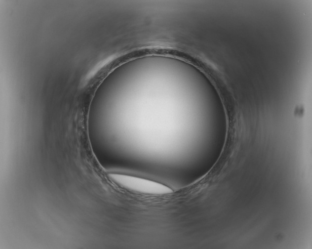 X0000112841255200908211233