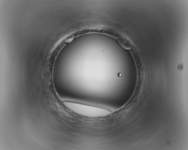 X0000112841256200908211232