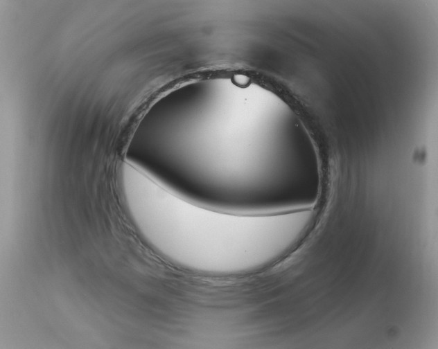 X0000112841257200908211232