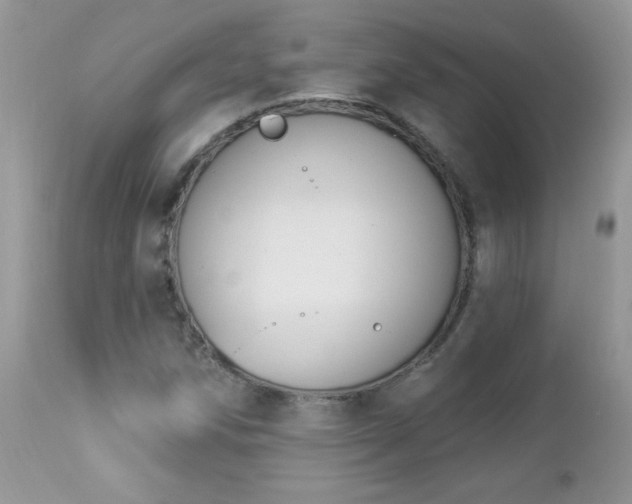 X0000112841258200908211232