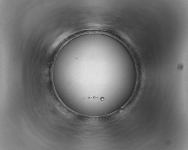 X0000112841259200908211232