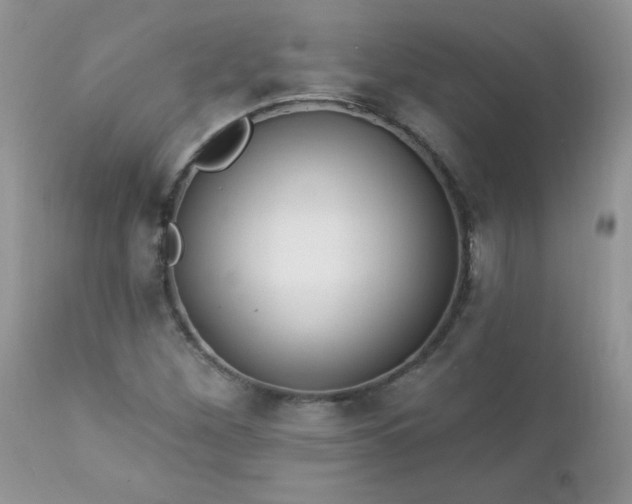 X0000112841260200908211232