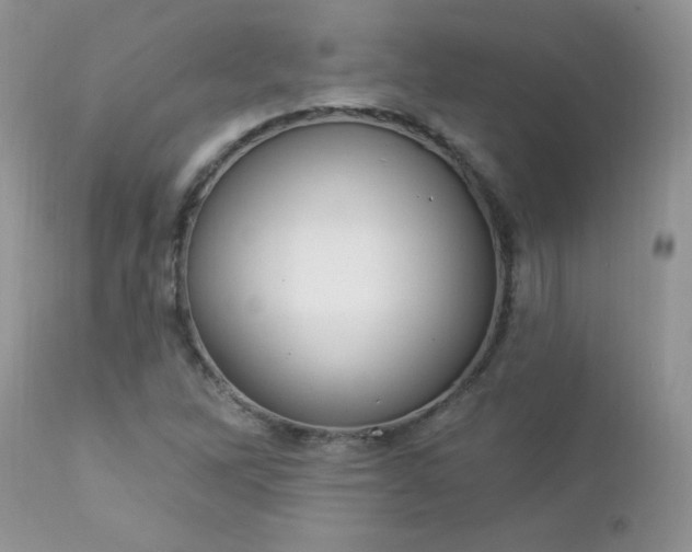 X0000112841262200908211232