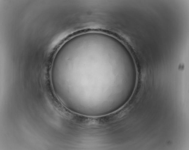 X0000112841263200908211232