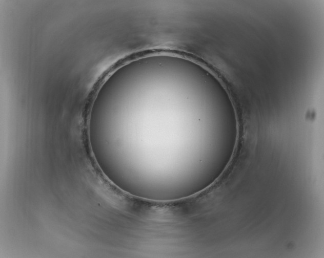 X0000112841264200908211232