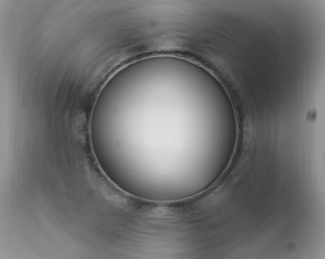 X0000112841265200908211232