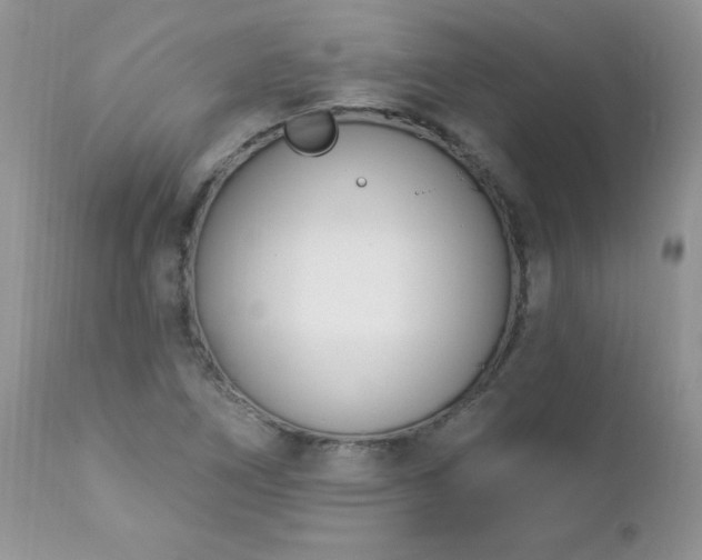 X0000112841266200908211232